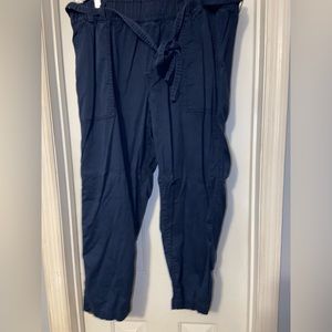 Lane Bryant blue ankle pants